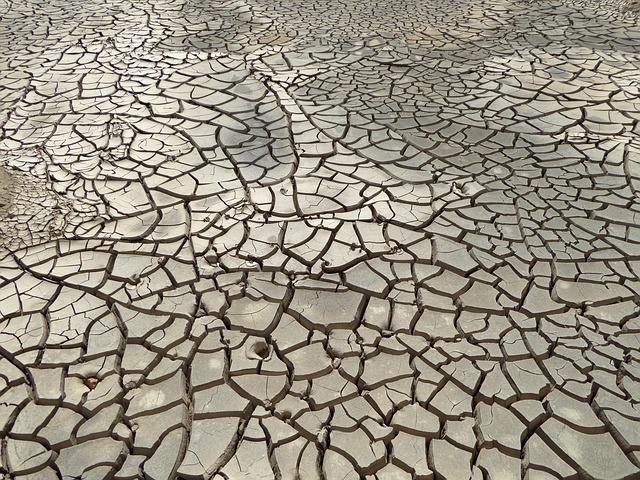 drought 2016 zimbabwe